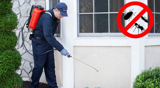 Sumbas Dezenfeksiyon böcek ilaçlama ve haşere kontrolü — ilaclama-tr.com